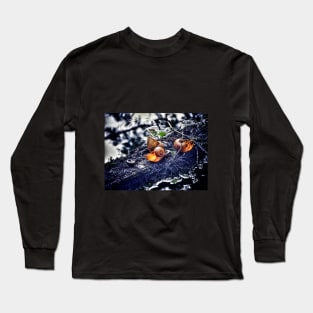 Beautiful Desolation Long Sleeve T-Shirt